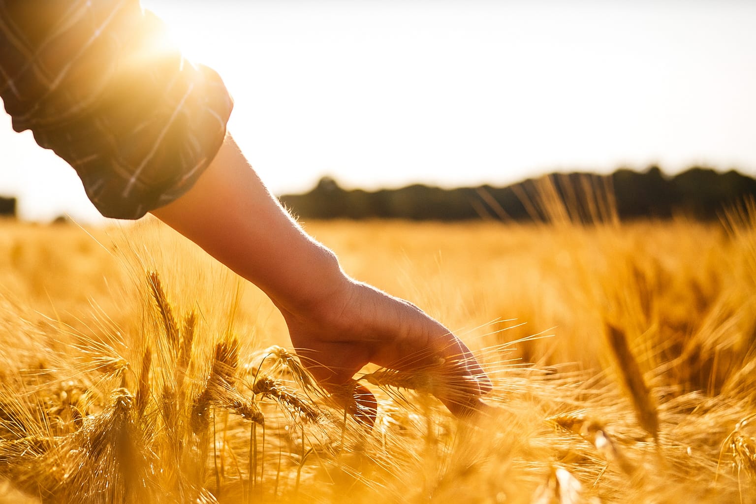 Imagen principal ABRA